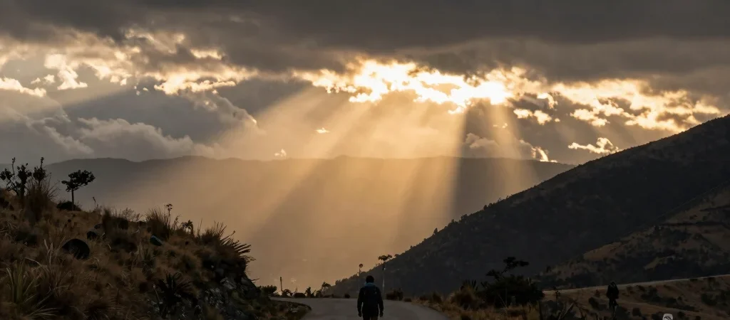 Los siete capítulos del viaje hacia el centro del alma